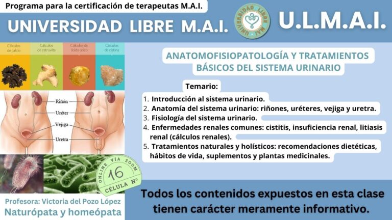 ULMAI Célula 16 – Anatomofisiopatología y tratamientos básicos del sistema urinario