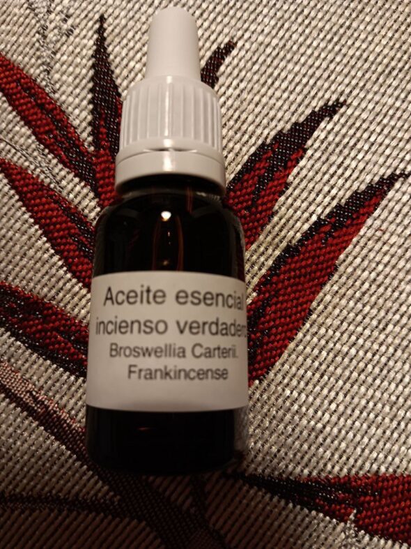 Árbol de Incienso, Boswellia sacra/ carterii. Olíbano. Frankincense.