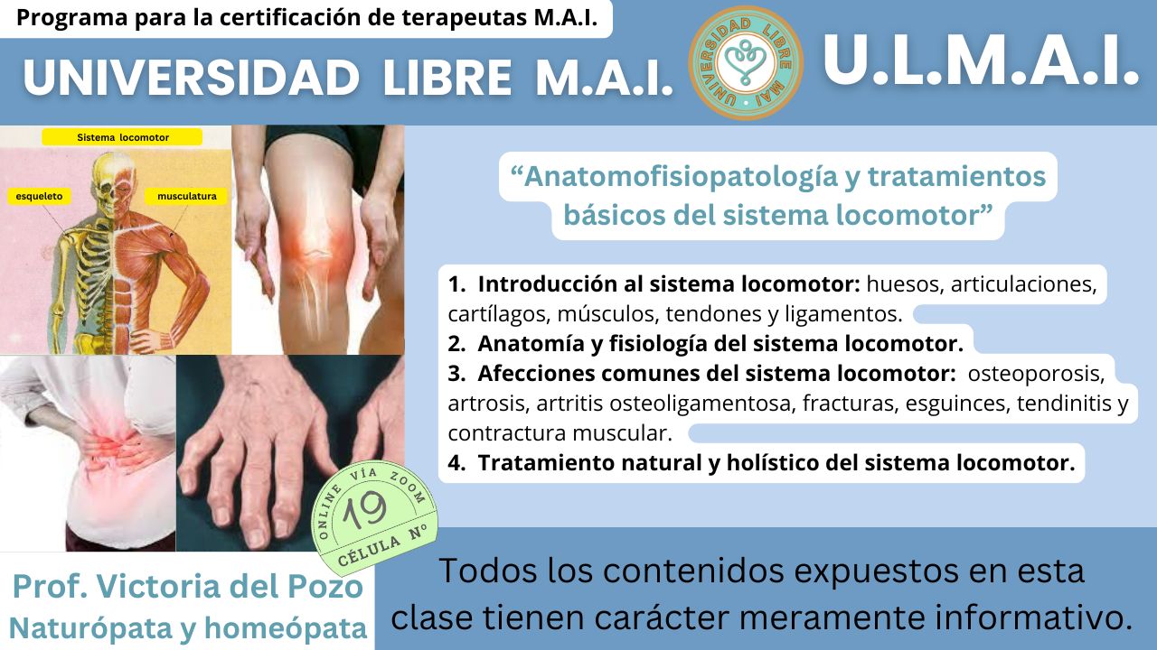ULMAI Célula 19 – Anatomofisiopatología y tratamientos básicos del sistema locomotor