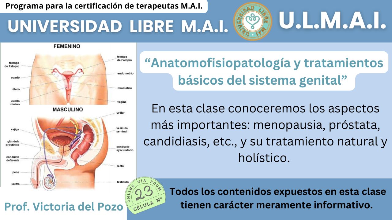 ULMAI Célula 23 – Anatomofisiopatología y tratamientos básicos del sistema genital