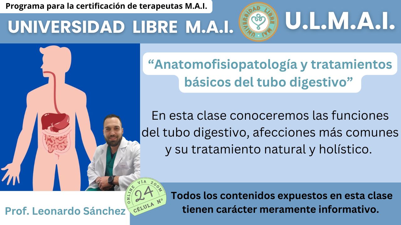 ULMAI Célula 24 – Anatomofisiopatología y tratamientos básicos del tubo digestivo