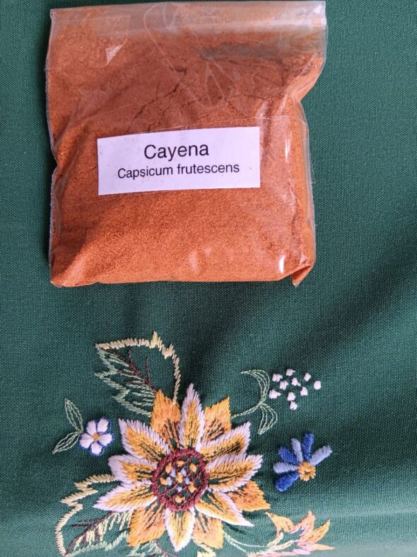 Cayena (Capsicum Frutescens)