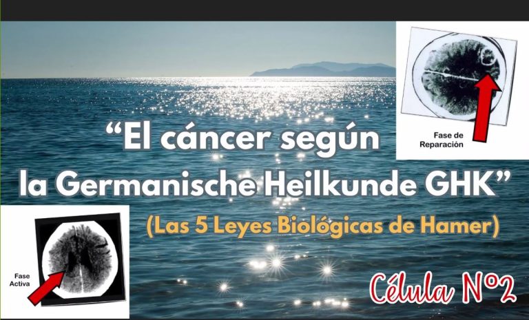 ULMAI Célula 2 – El Cáncer según la Germanische Heilkunde
