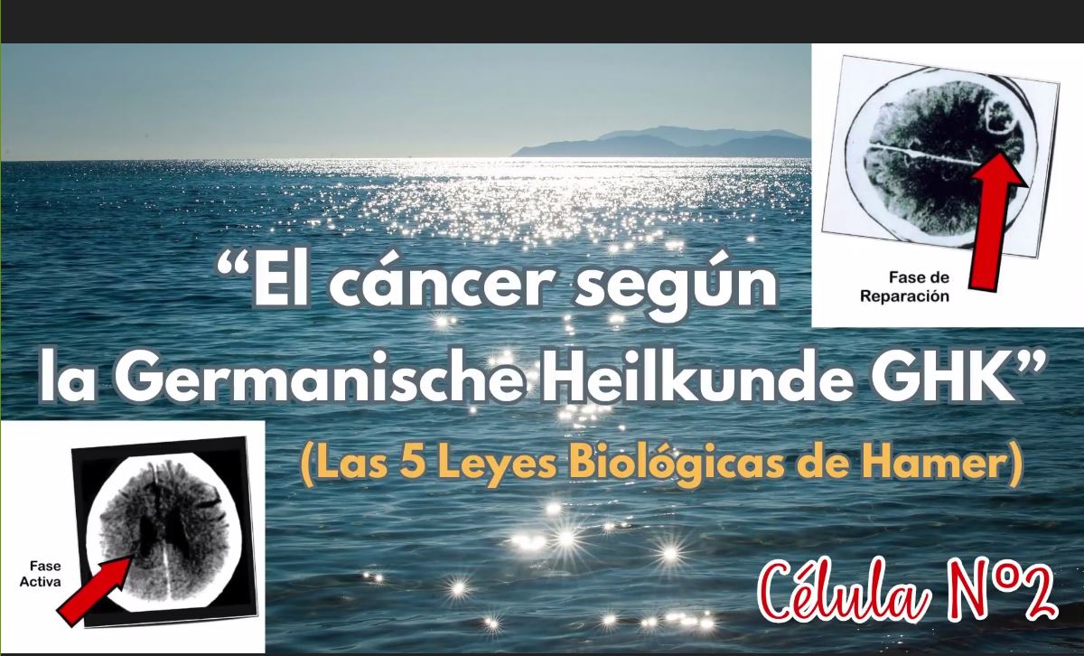 ULMAI Célula 2 – El Cáncer según la Germanische Heilkunde