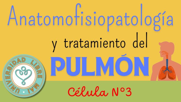 ULMAI Célula 3 – Anatomosfisiopatología y tratamiento del pulmón