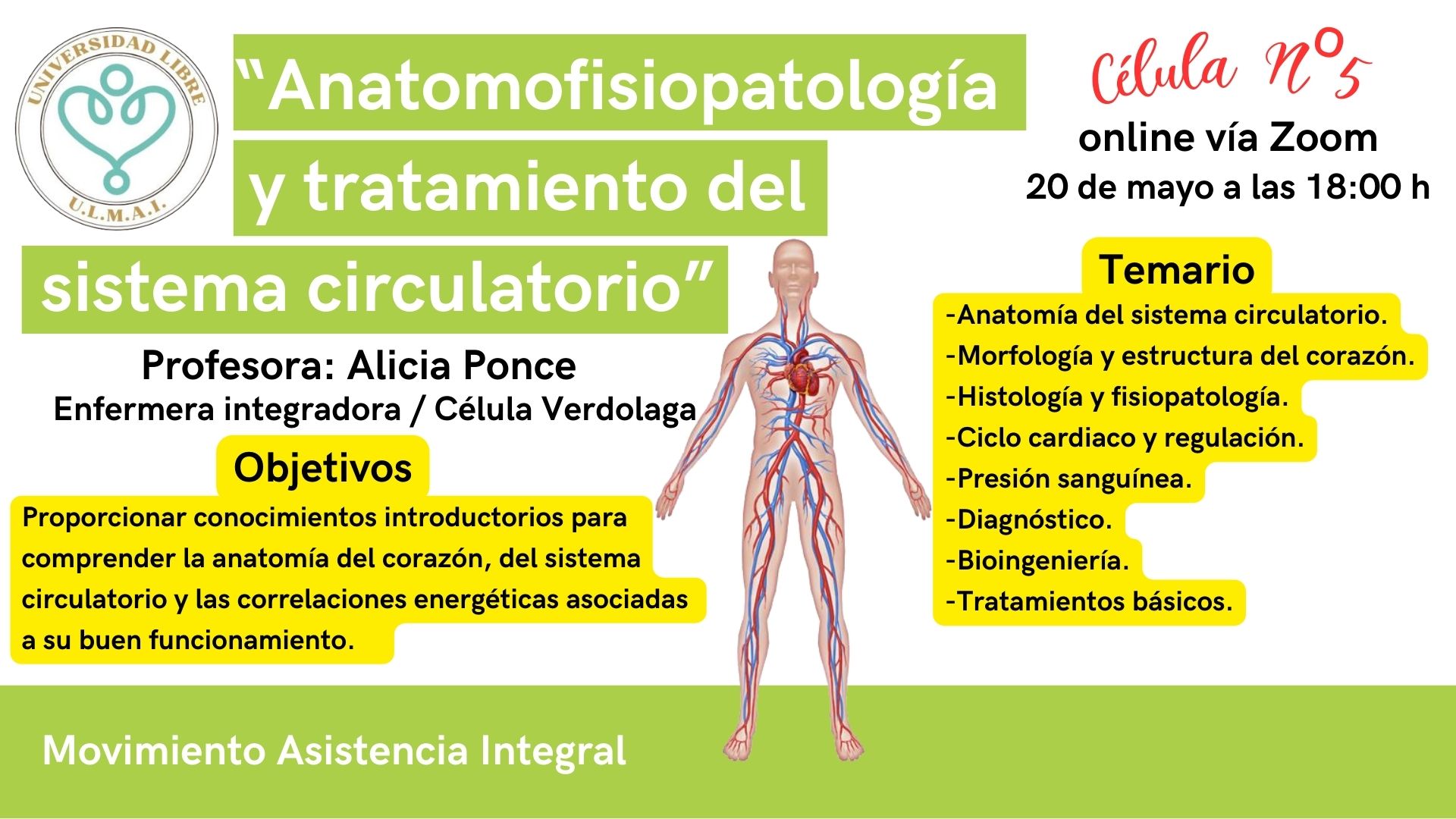 ULMAI Célula 5 – Anatomofisiopatología y tratamiento del sistema circulatorio