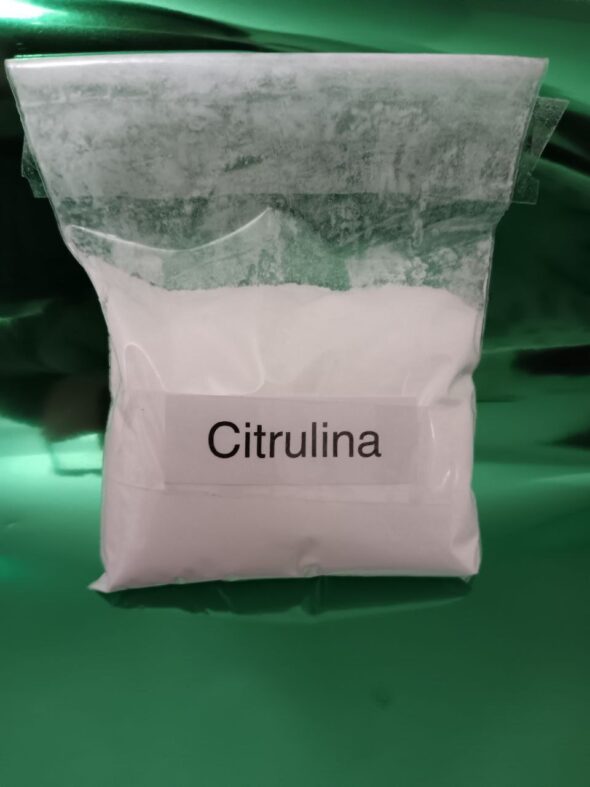 Citrulina
