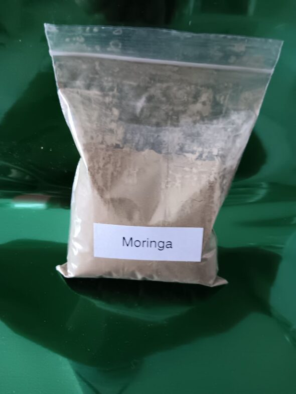 Moringa Oleifera