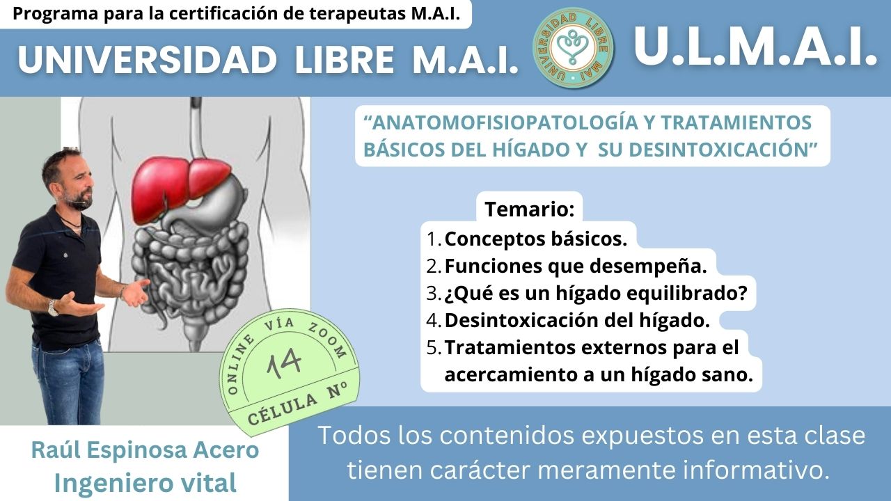 ULMAI Célula 14 – Anatomofisiopatología y tratamientos básicos del hígado y su desintoxicación