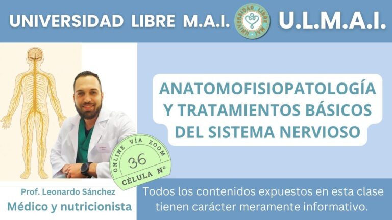 Célula 36 – Anatomofisiopatología y tratamientos básicos del sistema nervioso