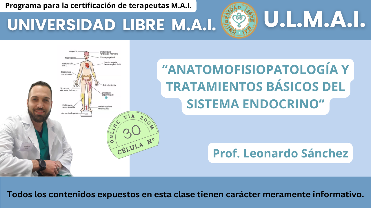 ULMAI Célula 30 – Anatomofisiopatología y tratamientos básicos del sistema endocrino