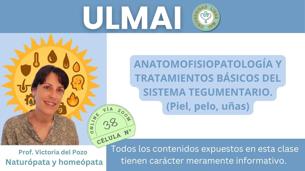 Célula 38 – Anatomofisiopatología y tratamientos básicos del sistema Tegumentario