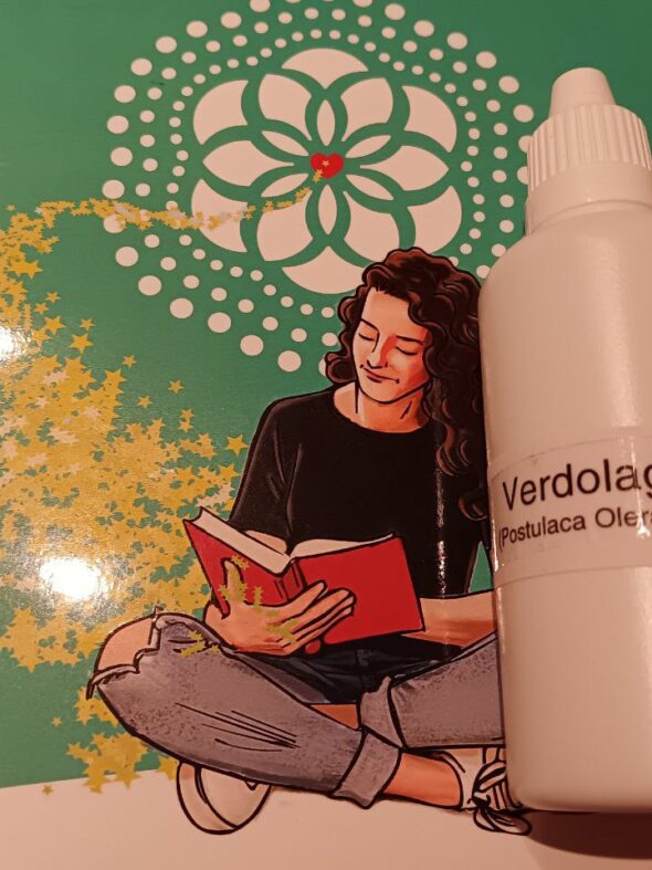 Verdolaga (Postulaca oleracea)